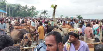 High Supply of Sacrificial Animals in Amtali Traders Angry Over Extortion
