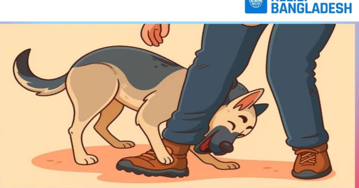 20251102234838 | Spostobadi