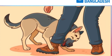 20251102234838 | Spostobadi #image_title